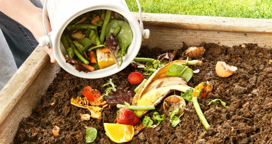 Compostagem caseira